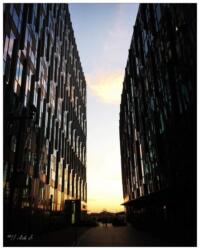 2021-03-04 21.37.06-1-2