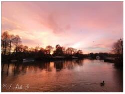 2021-03-04 21.37.29-1-1