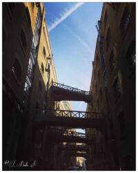 2021-03-04 21.37.41-1-1