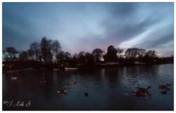 2021-03-04 21.37.41-1