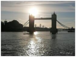 2021-03-04 21.38.19-1